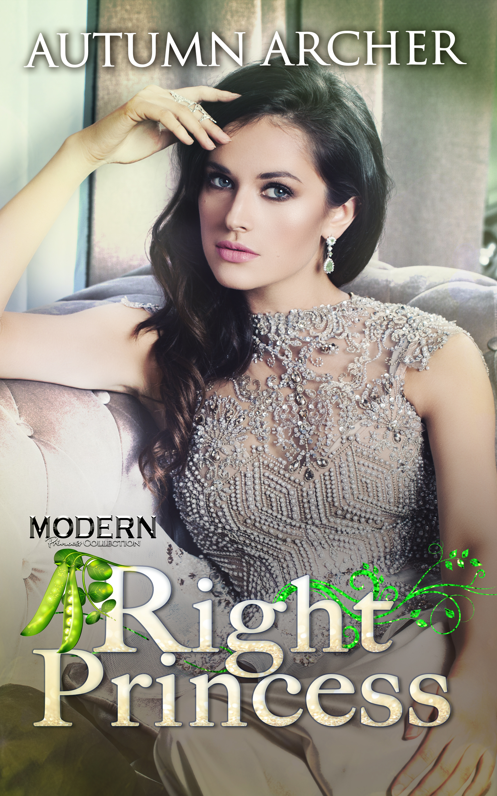 Modern Princess Collection book cover 3