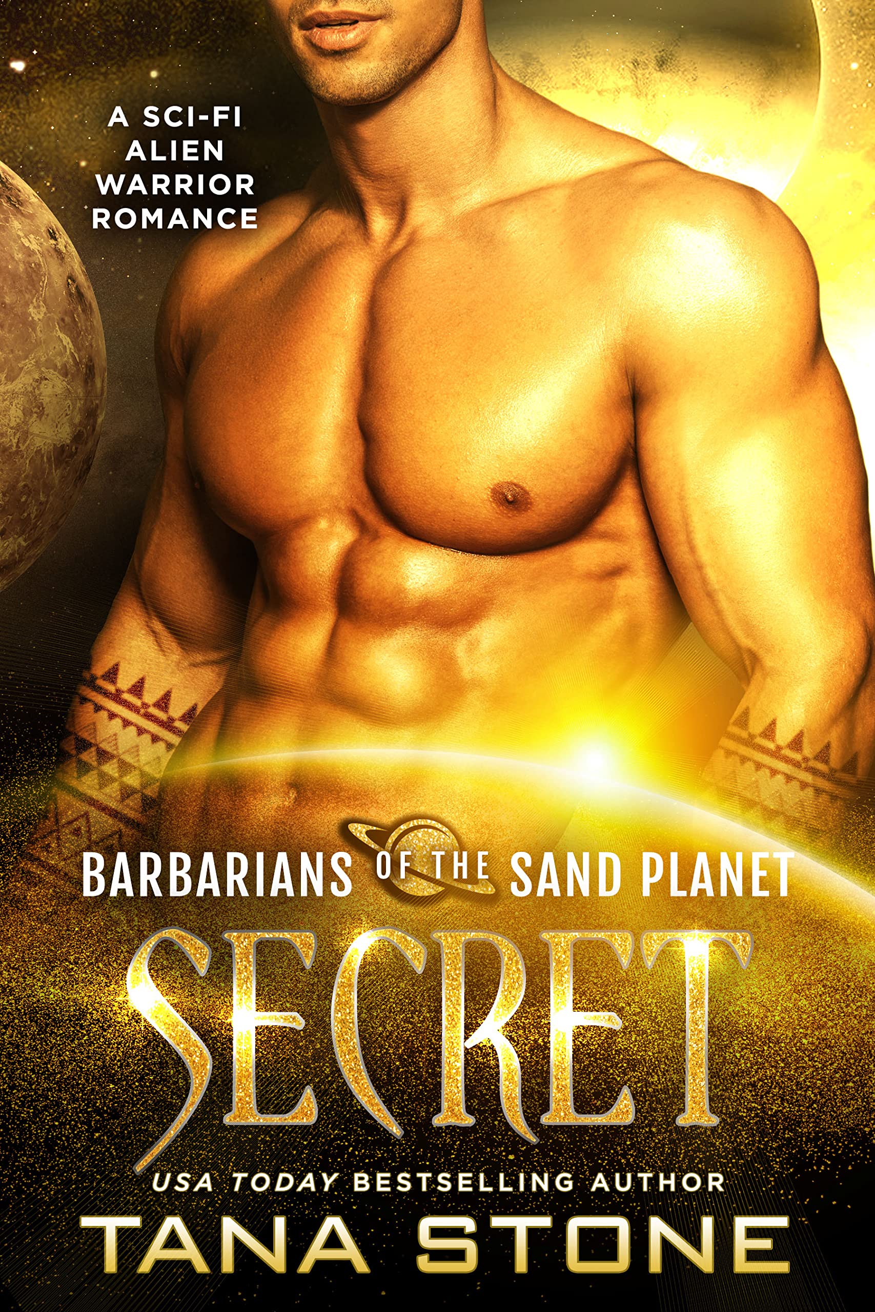 Secret book cover
