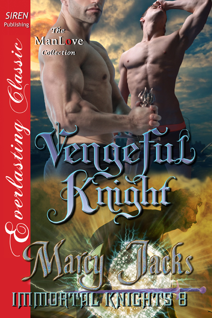 Vengeful Knight book cover