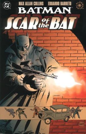 Batman book cover