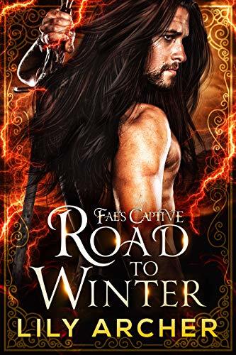 Fae's Captive book cover 2