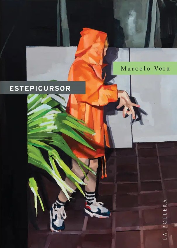 Estepicursor book cover