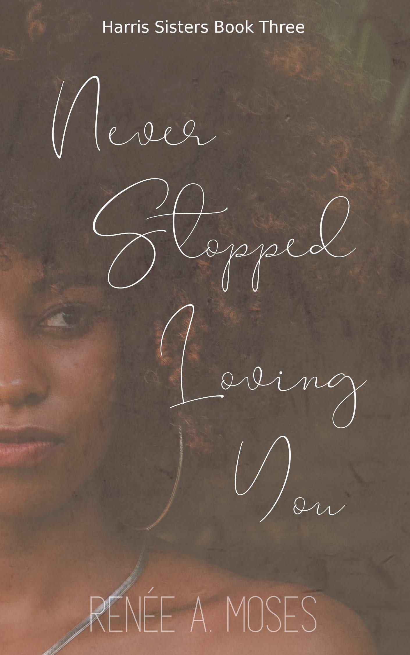 Never Stopped Loving You book cover