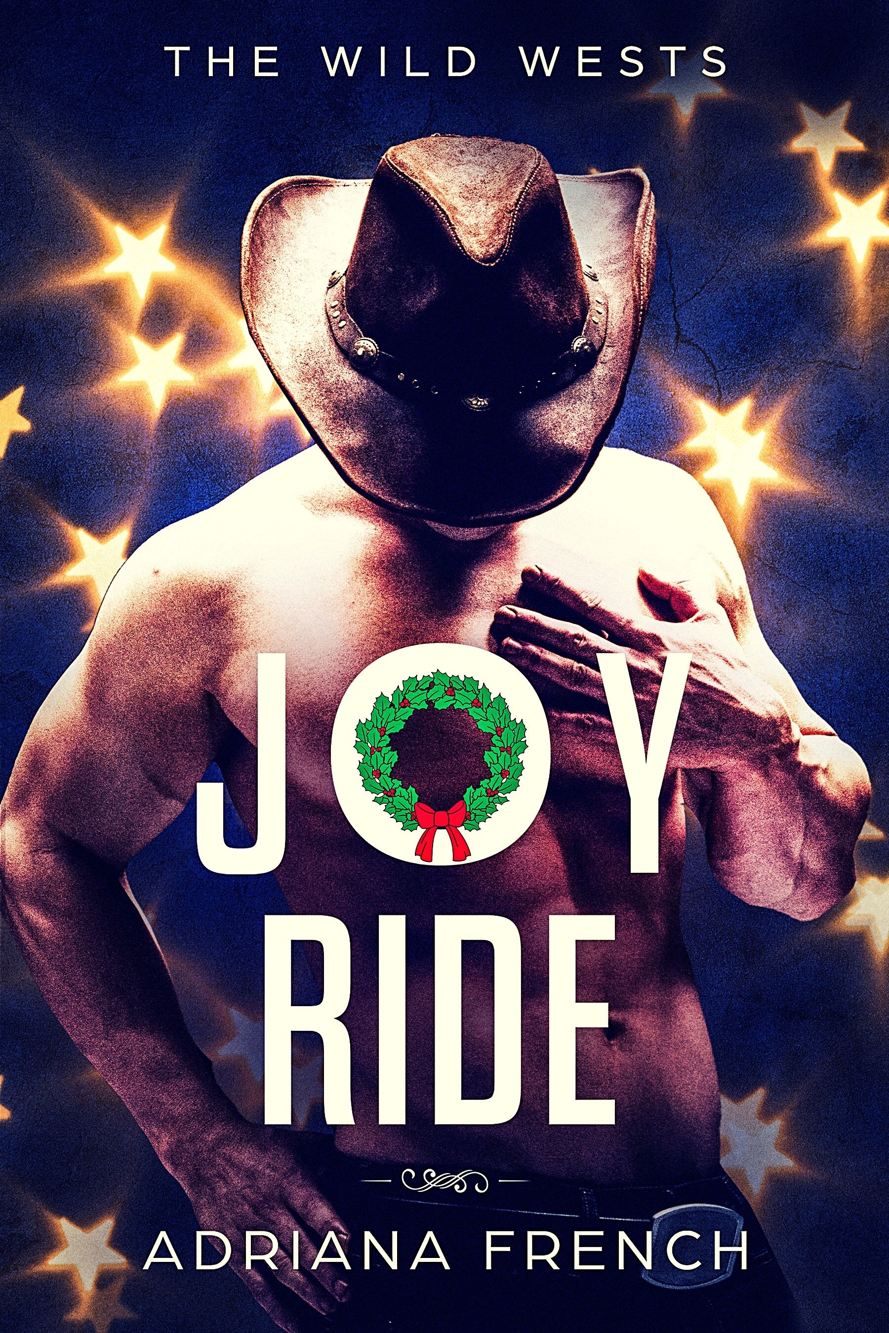Joy Ride book cover