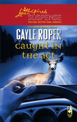 Amhearst Mystery book cover 2