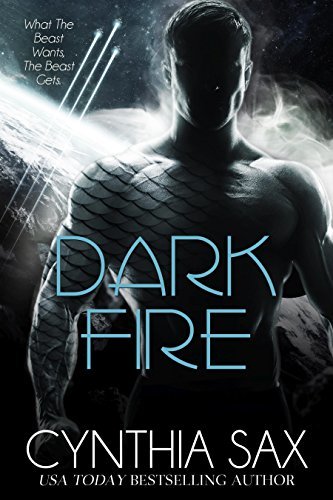 Dark Fire book cover
