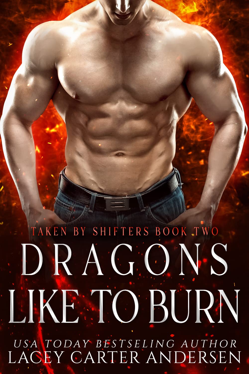Taken By Shifters book cover 1