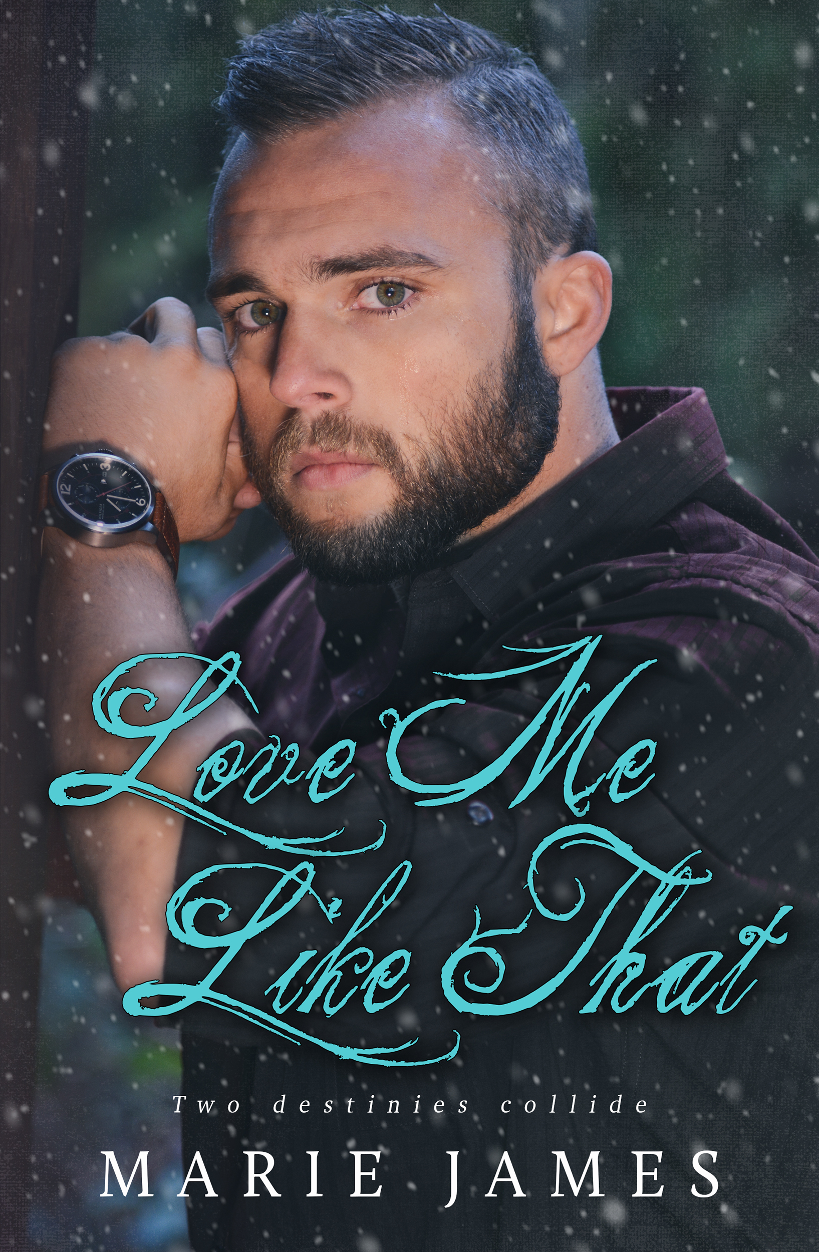 Cole Brothers book cover 1