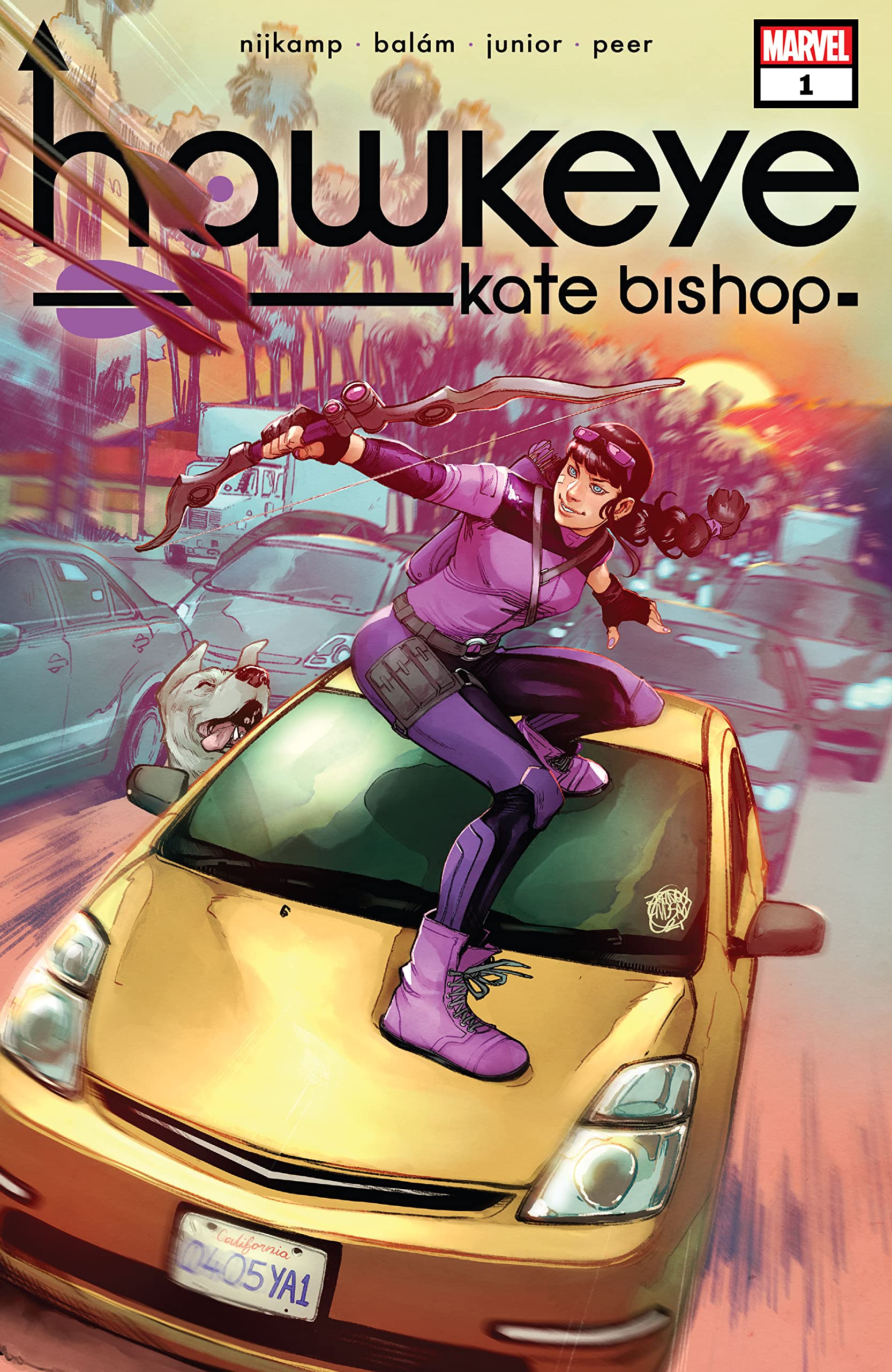Hawkeye book cover