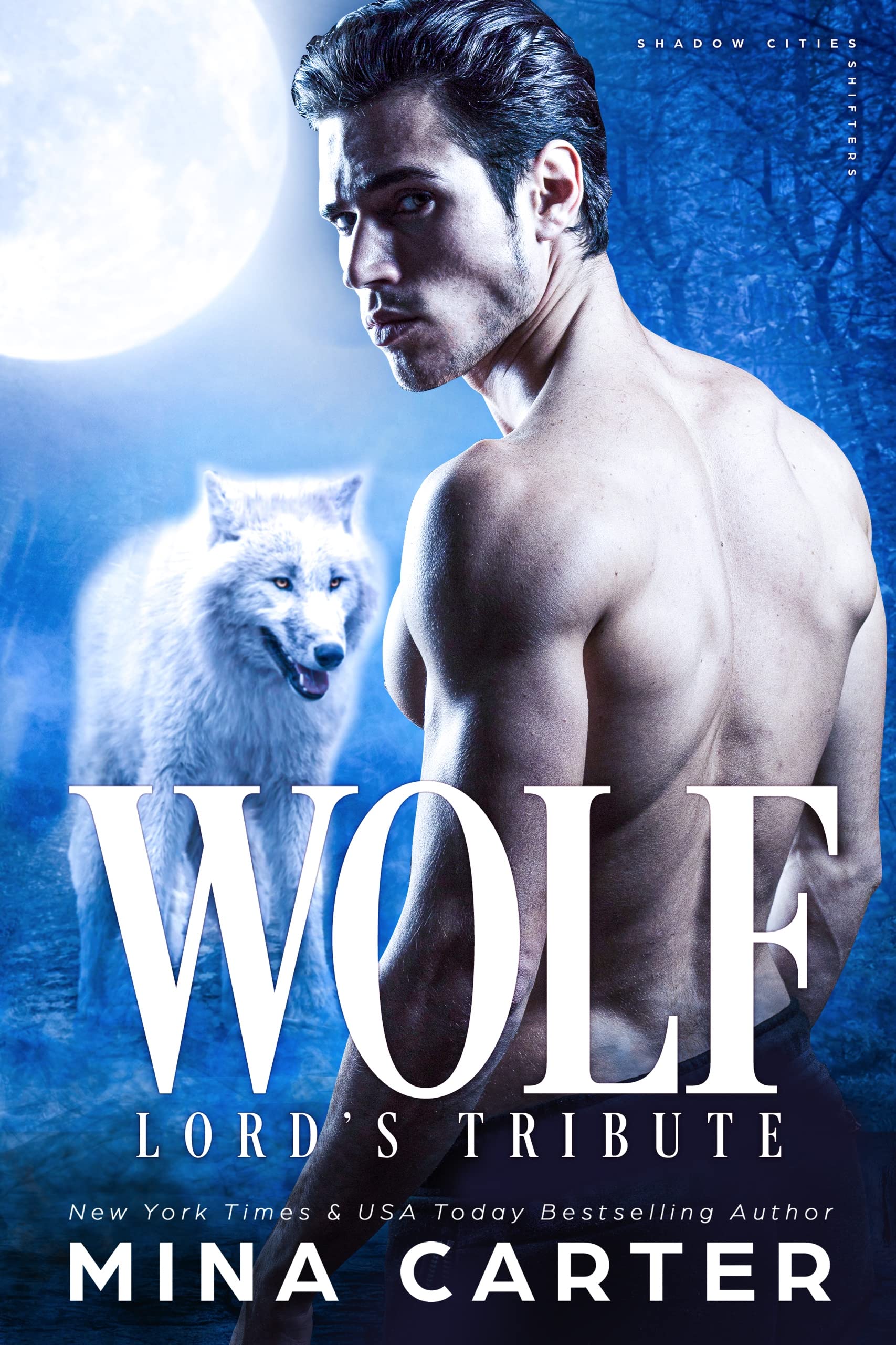 Shadow Cities Shifters book cover 2