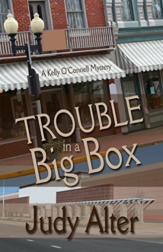 Trouble in a Big Box book cover
