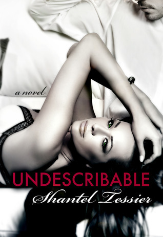 Undescribable book cover 1