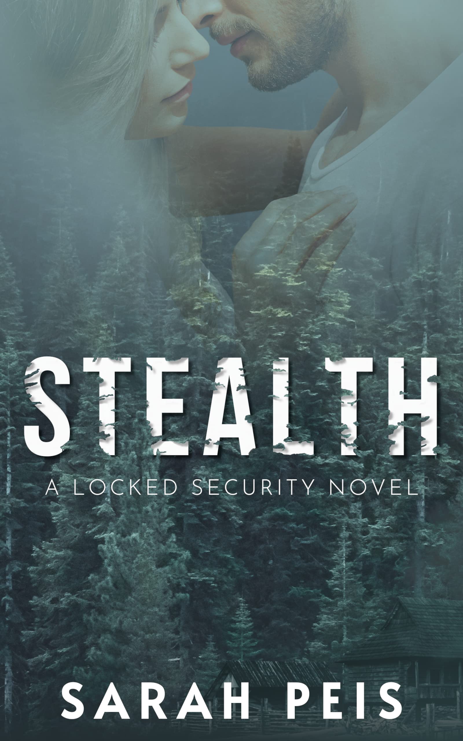 Locked Security book cover 1
