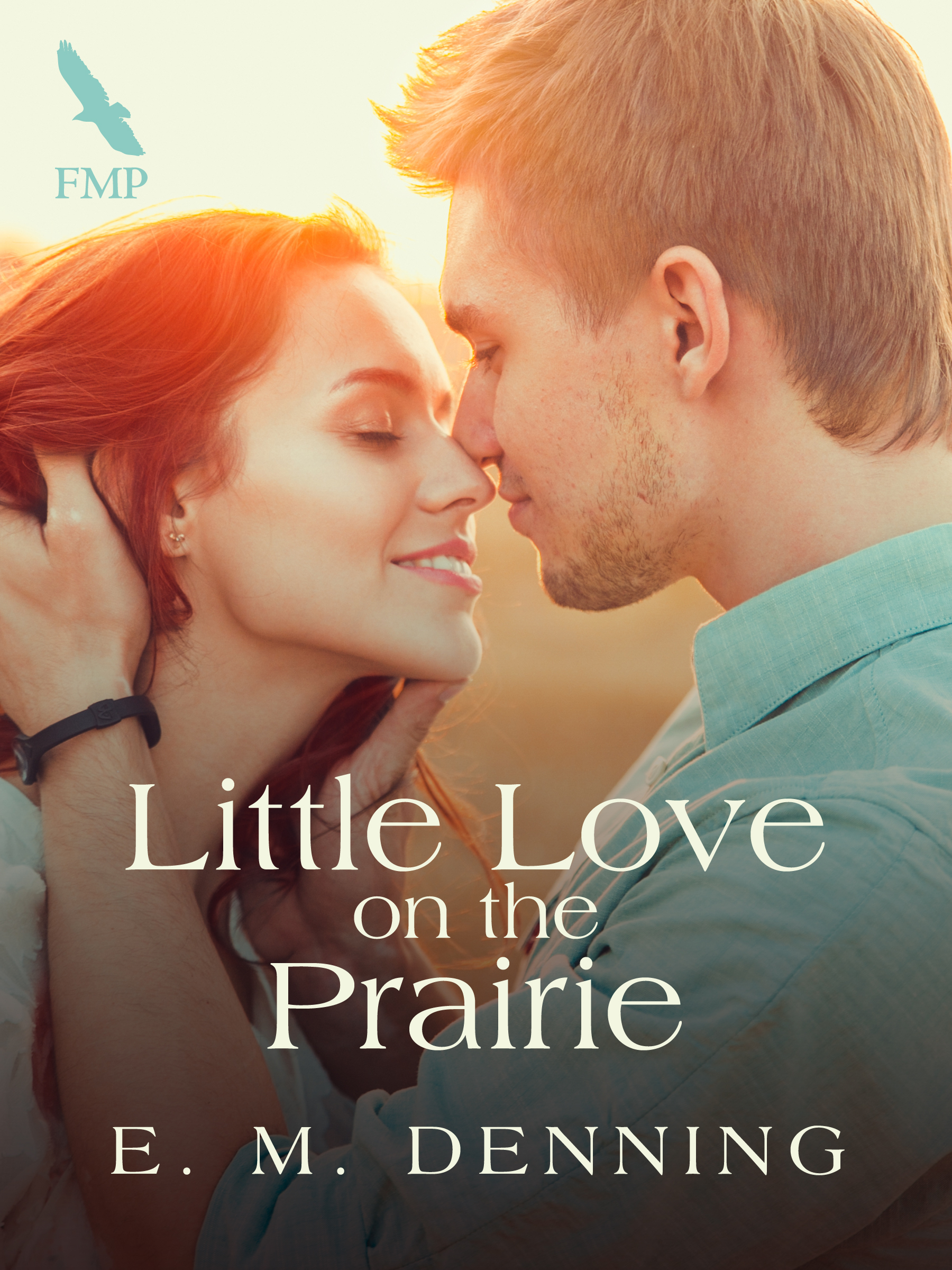 Little Love on the Prairie book cover