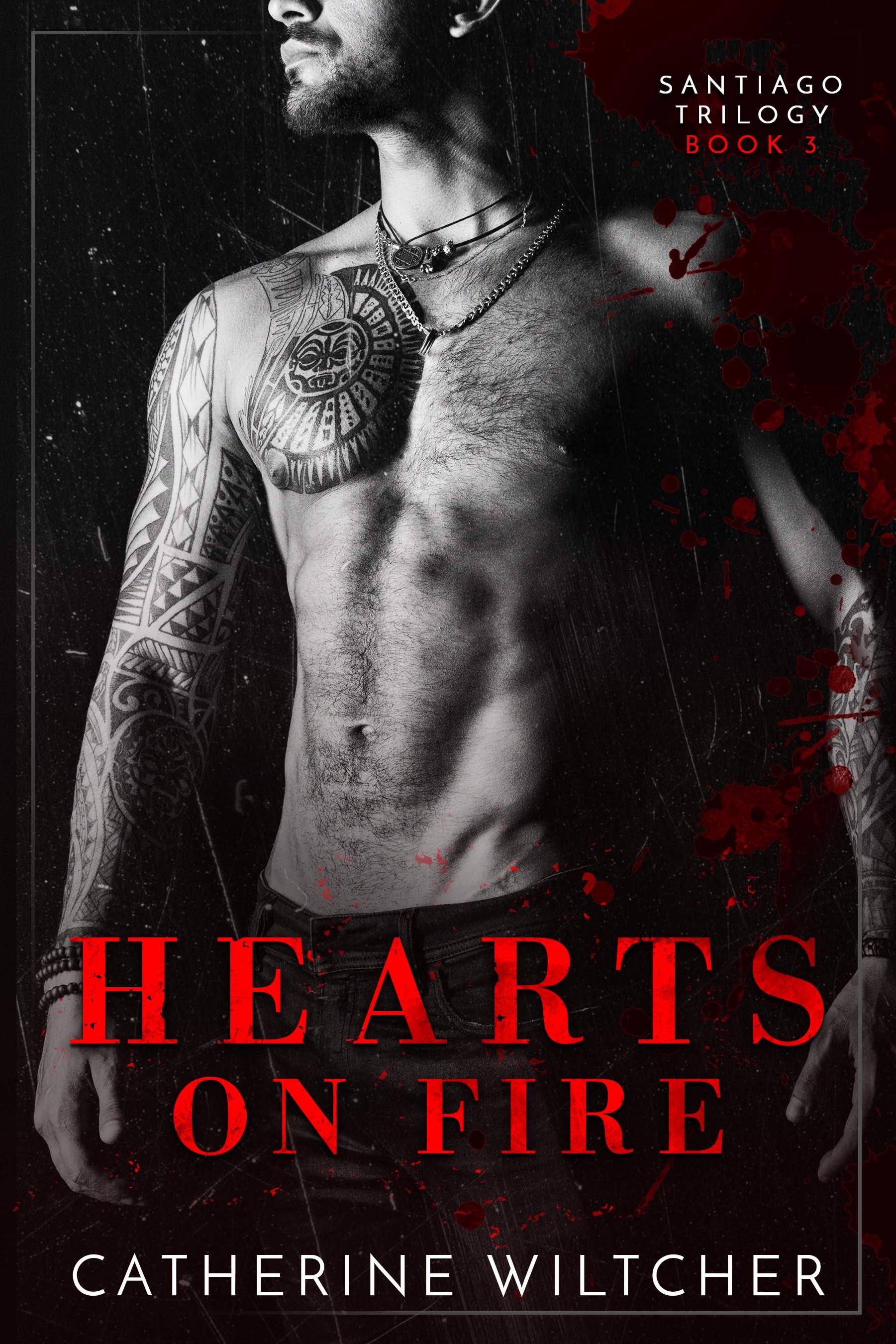 Santiago World book cover 3