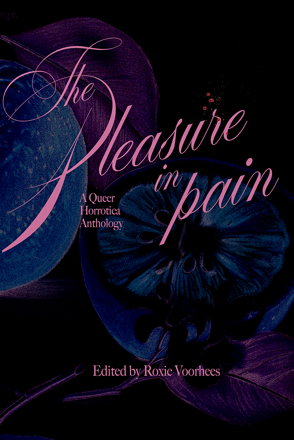 The Pleasure in Pain book cover