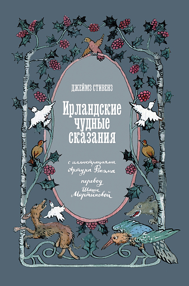 Ирландские чудные сказания book cover