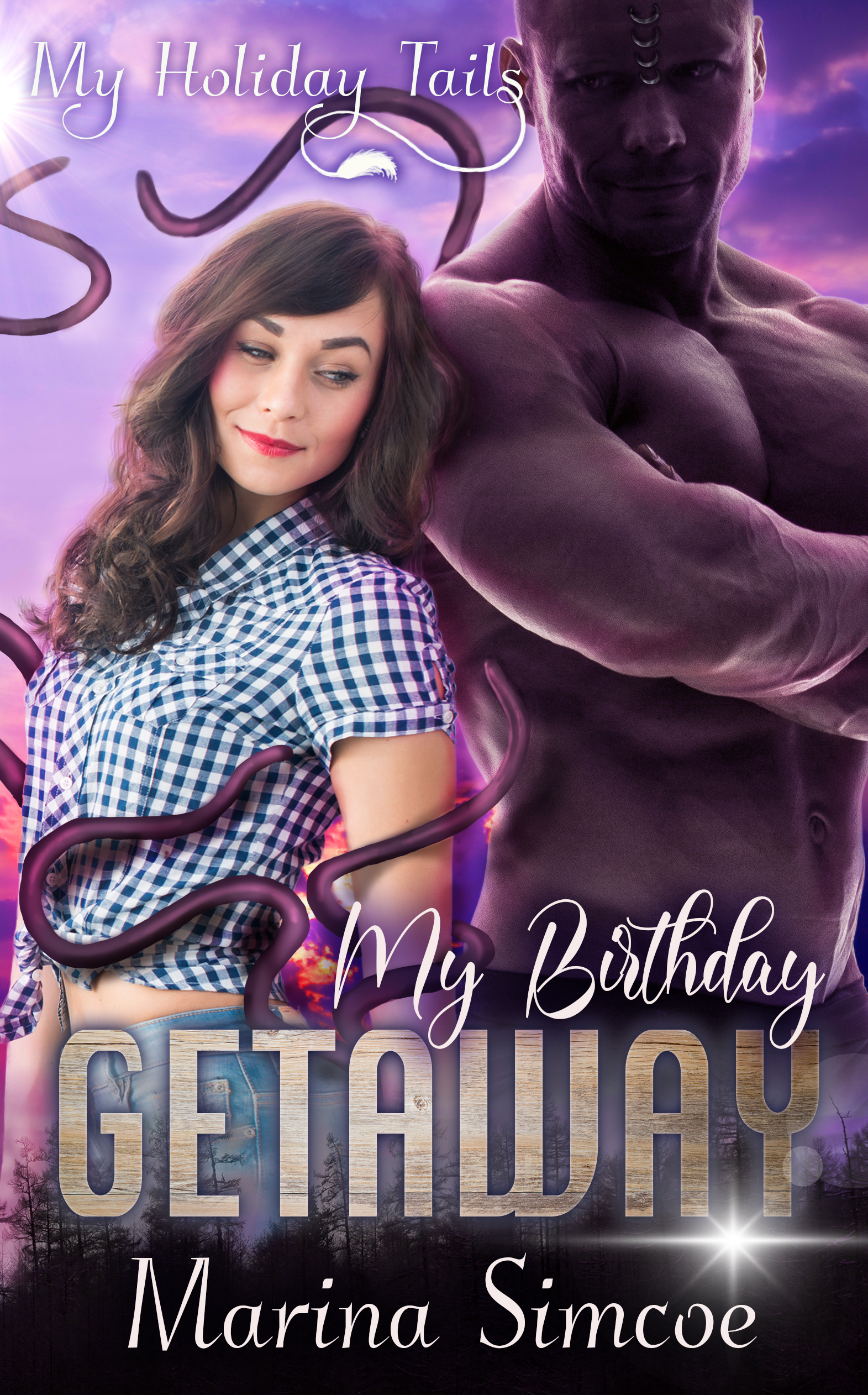 My Birthday Getaway book cover