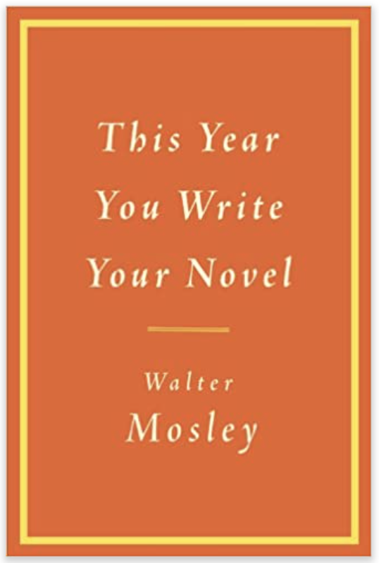 This Year You Write Your Novel book cover