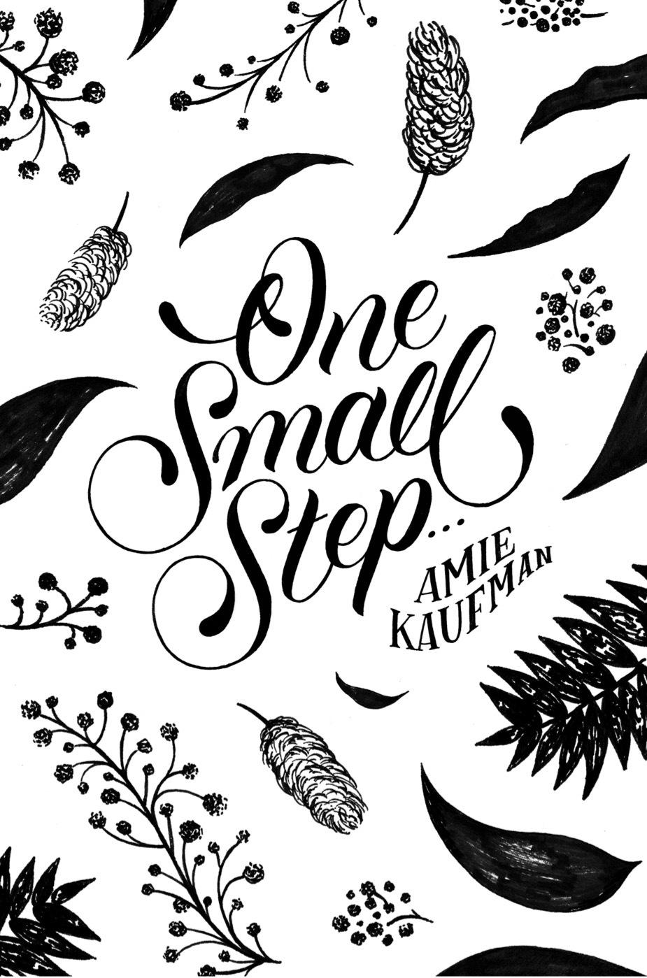 One Small Step… book cover