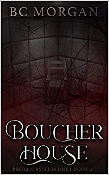 Broken Asylum Duet book cover 2