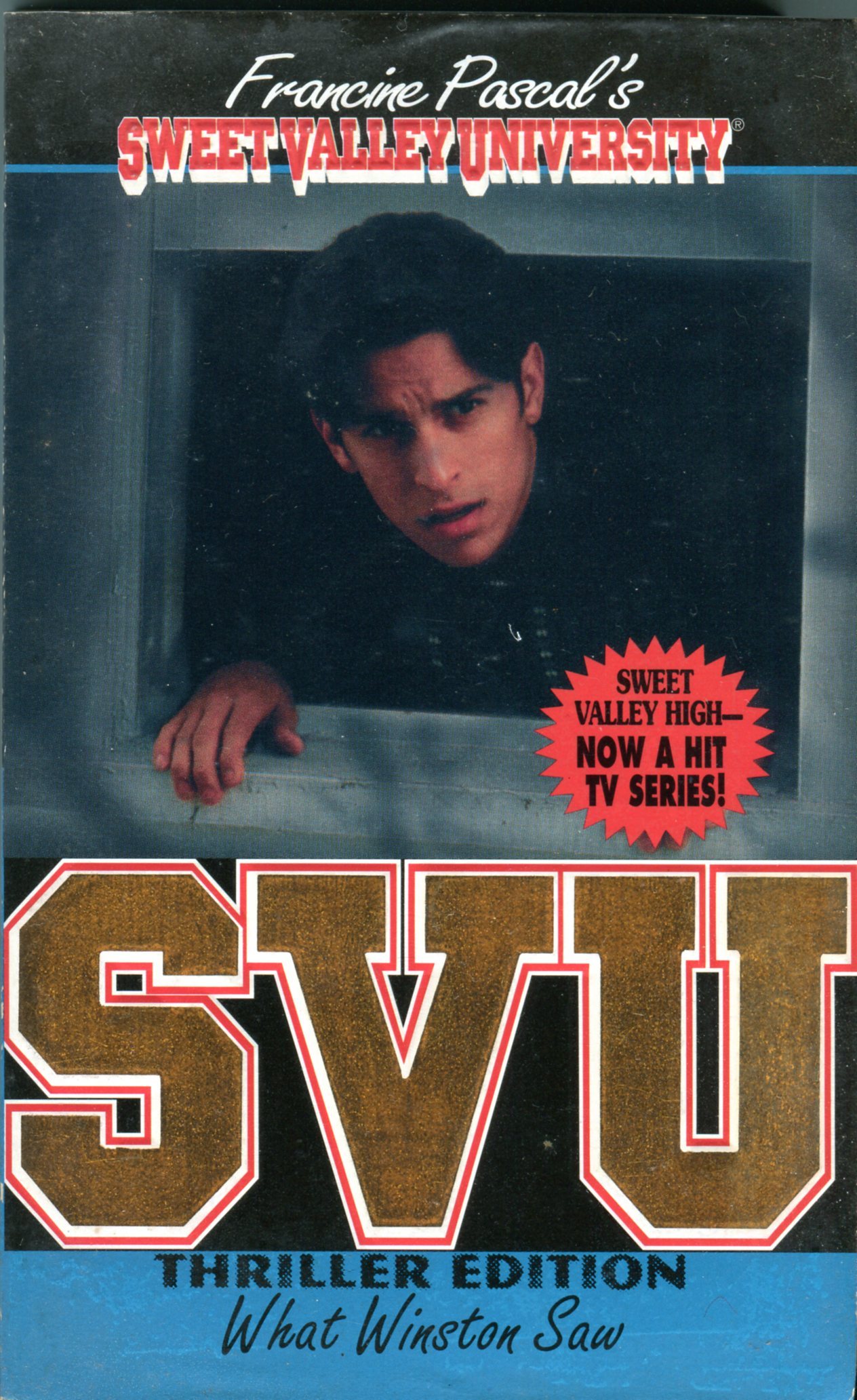 What Winston Saw book cover