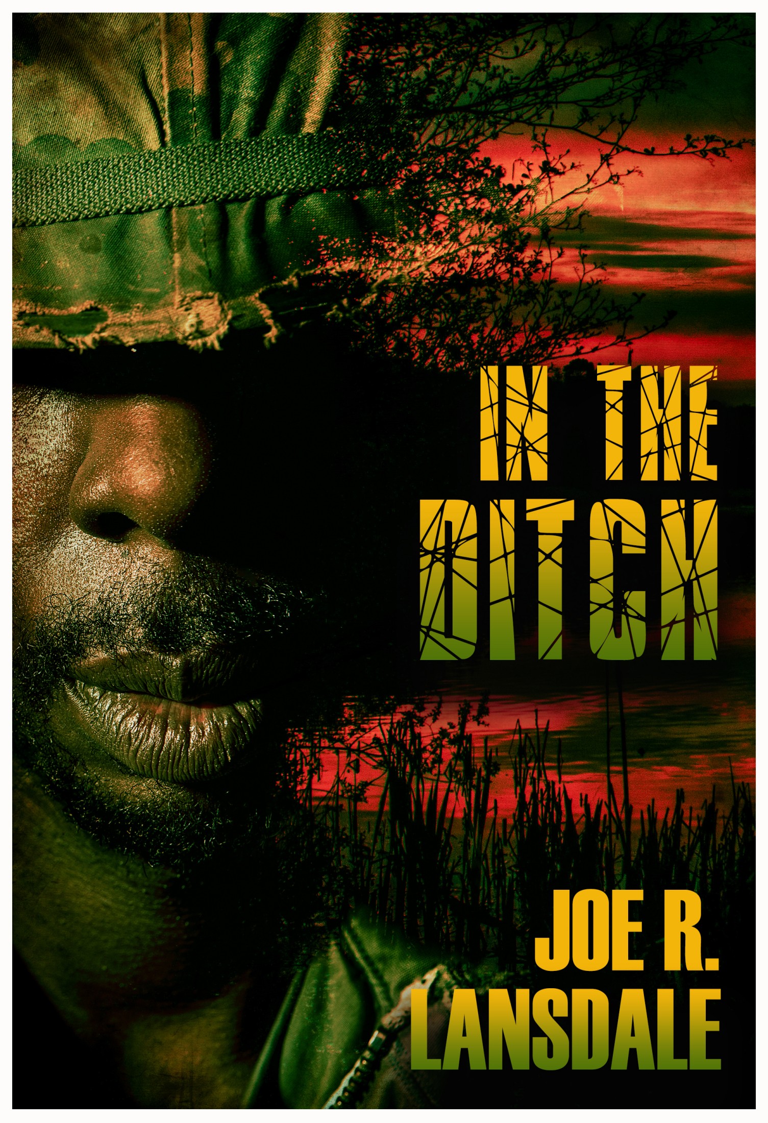 In the Ditch book cover