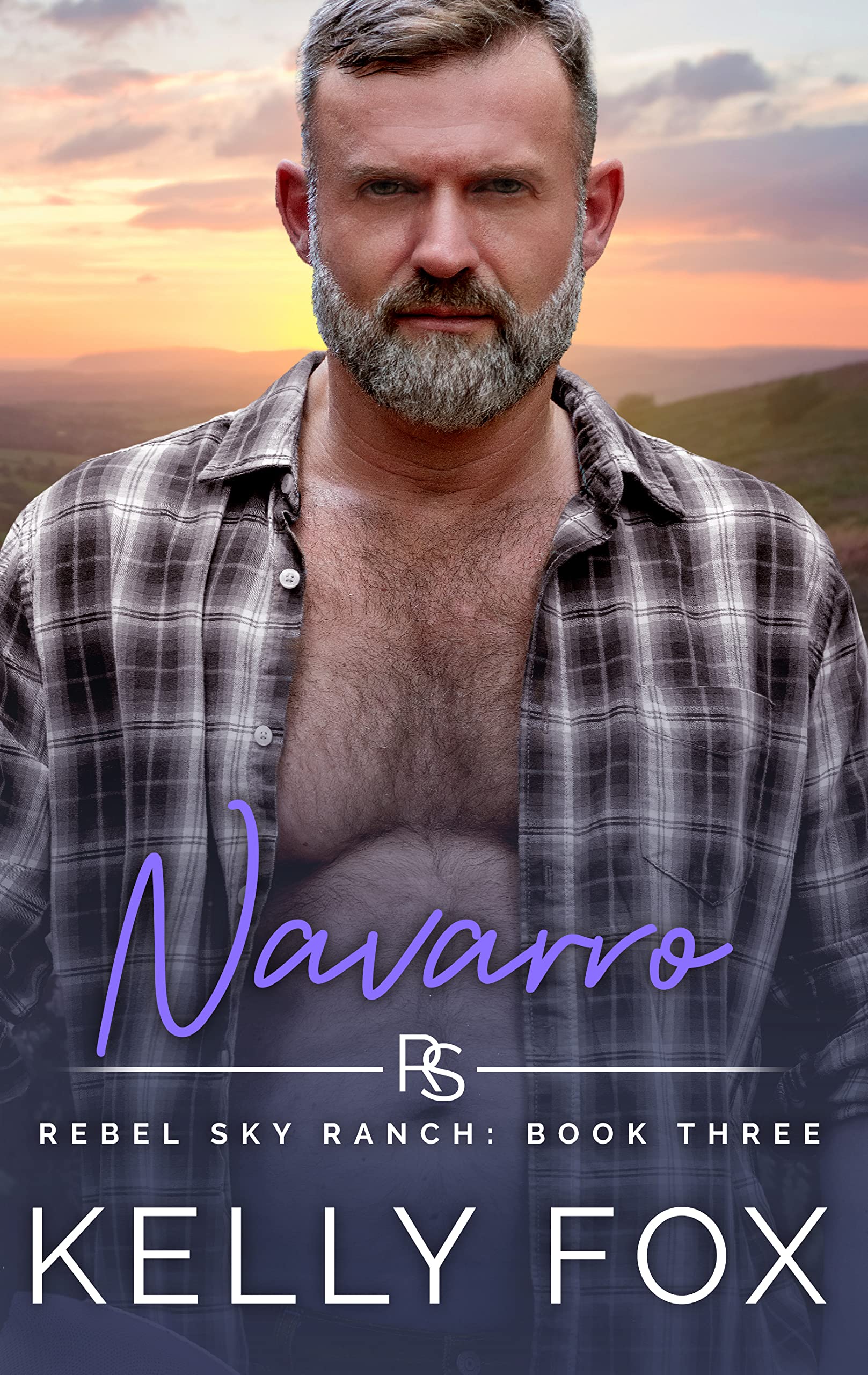 Rebel Sky Ranch book cover 2