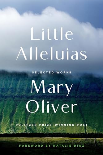 Little Alleluias book cover