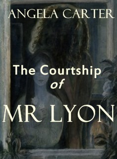 The Courtship of Mr Lyon book cover