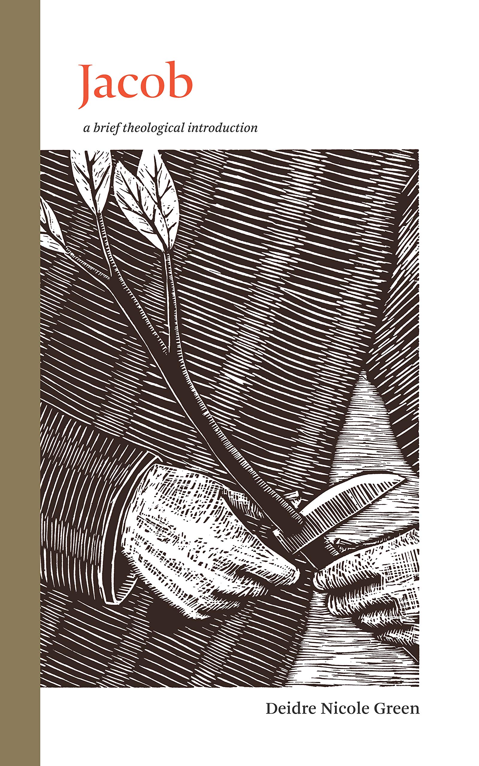 The Book of Mormon: brief theological introductions book cover 3