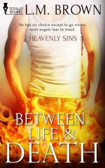 Heavenly Sins book cover 3