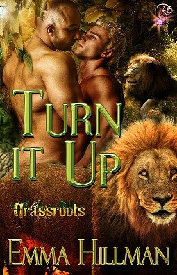 Turn It Up book cover