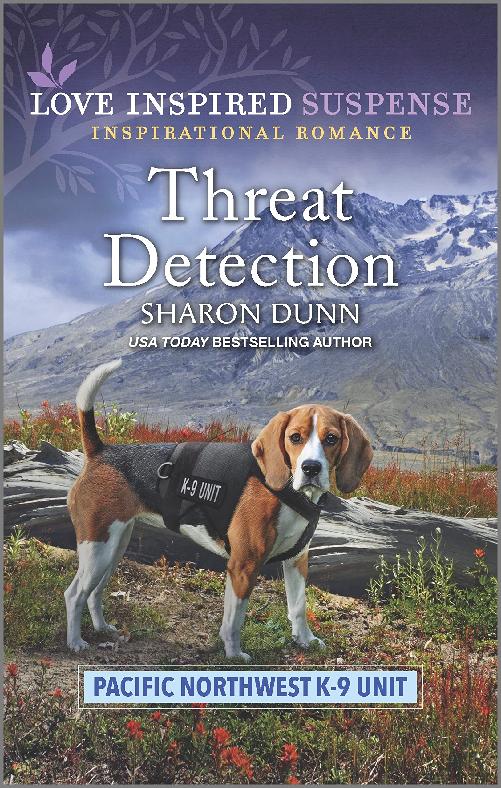 Threat Detection book cover