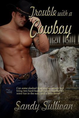 Trouble With A Cowboy book cover