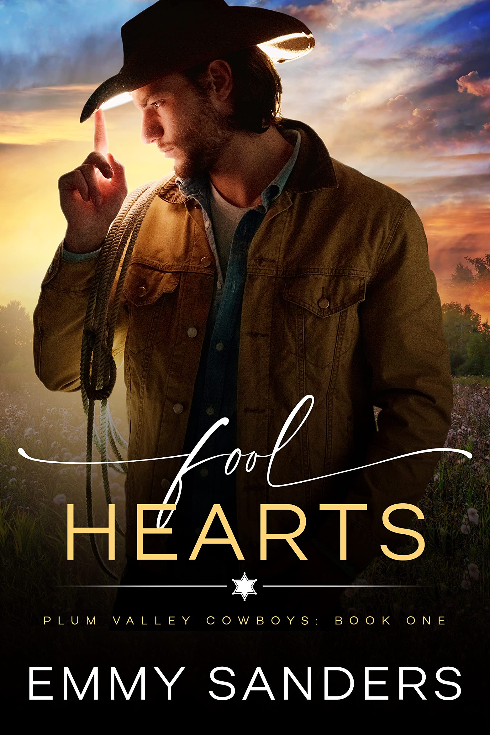 Plum Valley Cowboys book cover 1