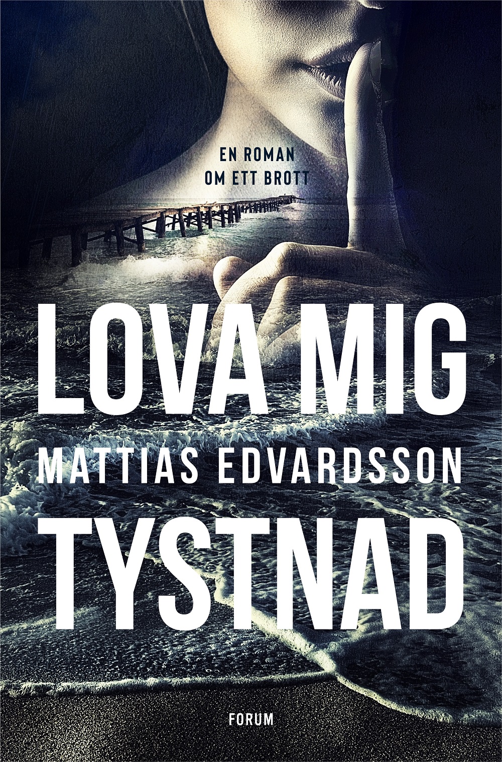 Lova mig tystnad book cover