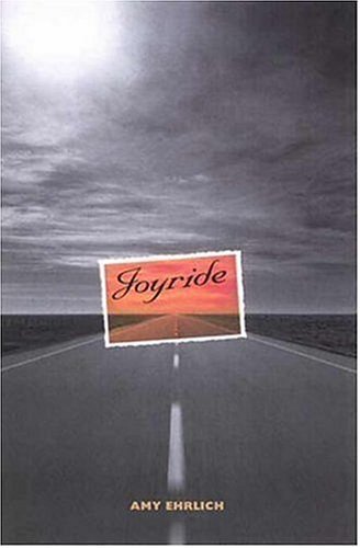 Joyride book cover