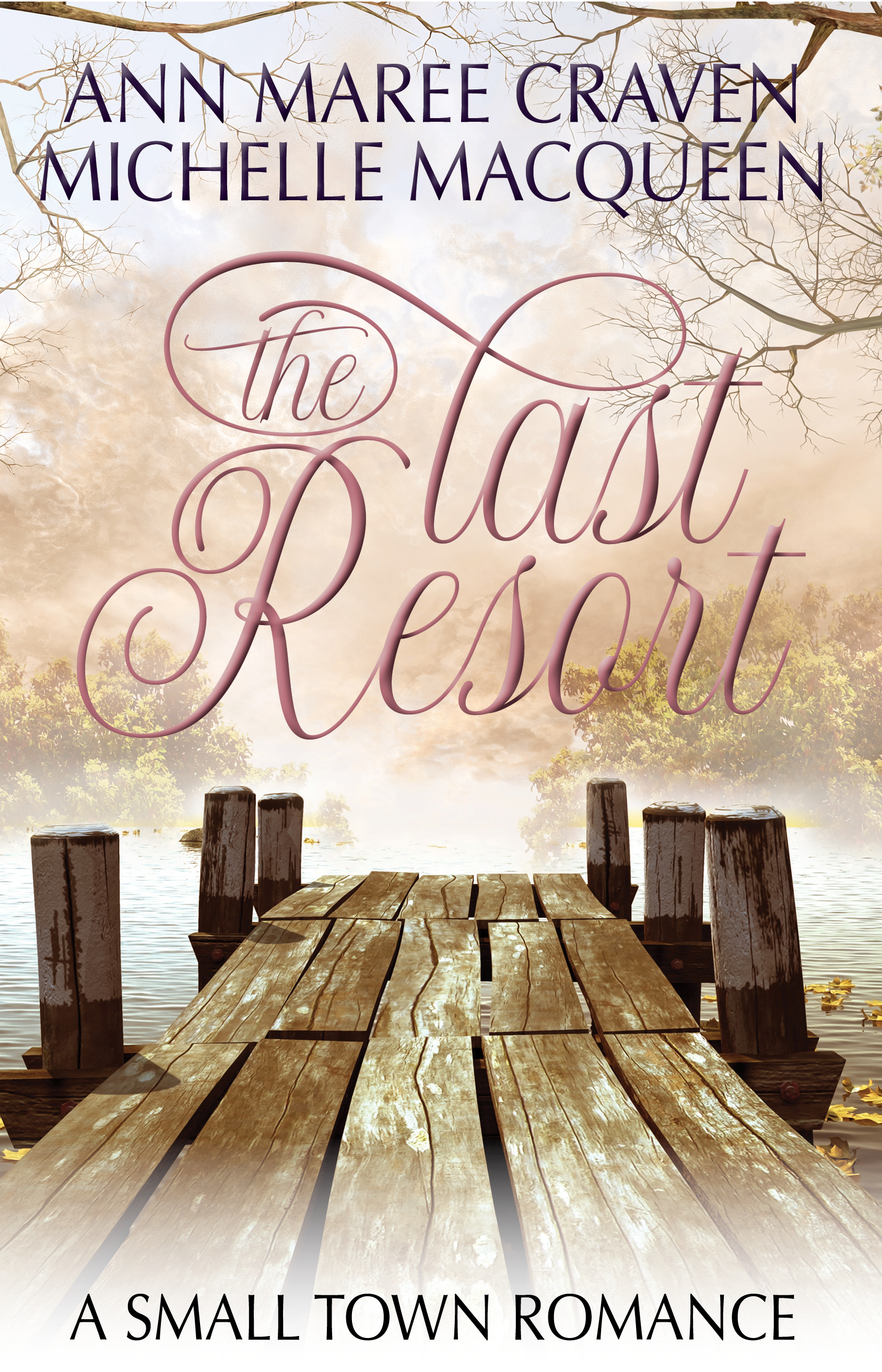 The Last Resort book cover