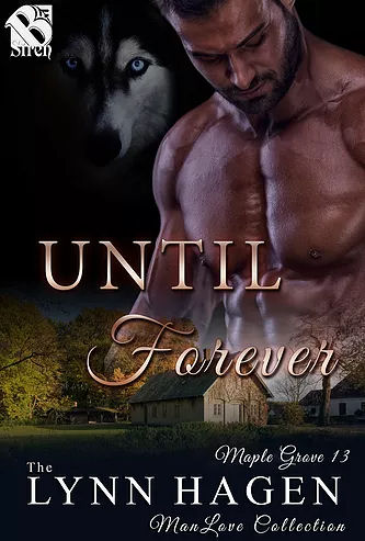 Until Forever book cover