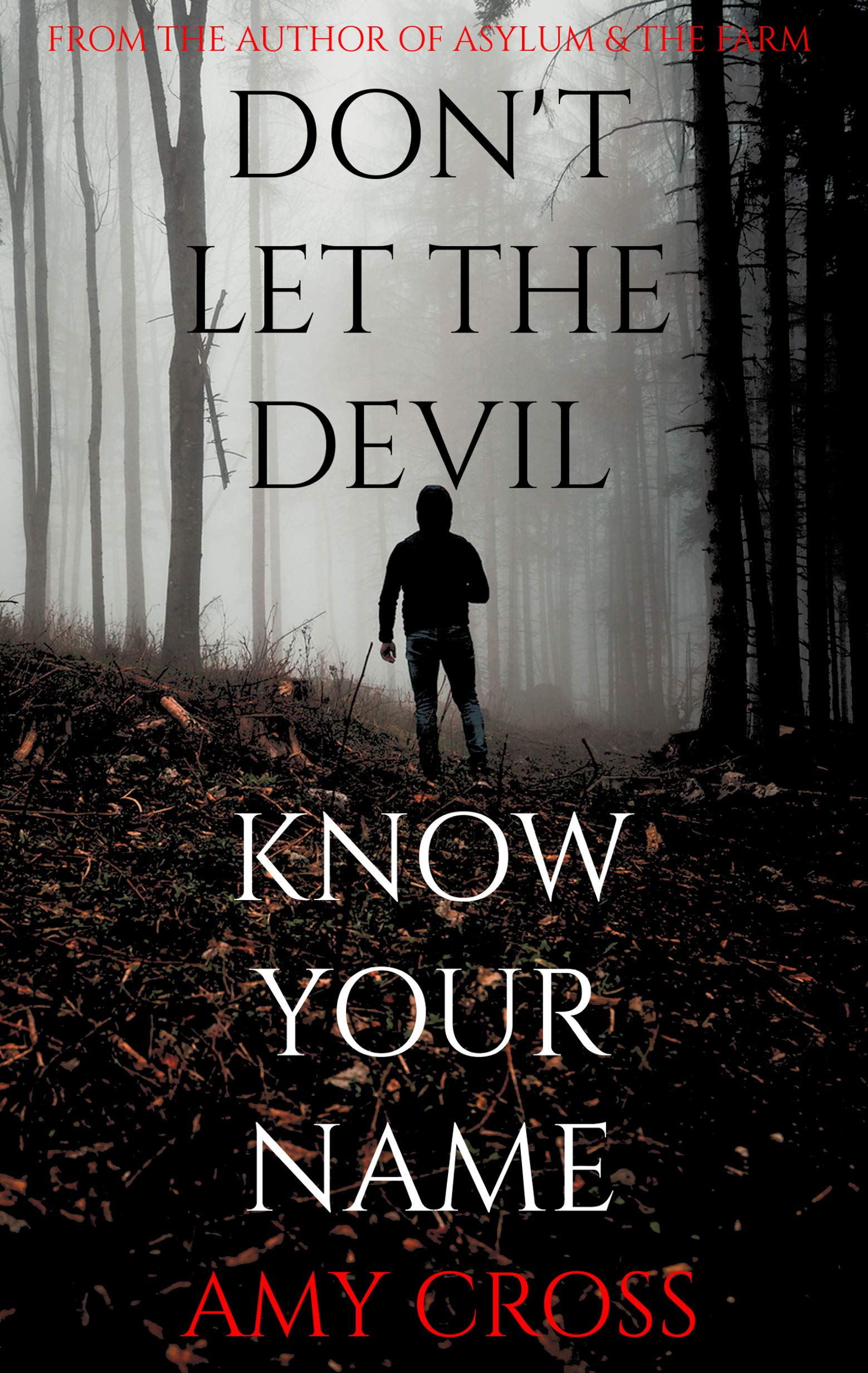 Don't Let the Devil Know Your Name book cover