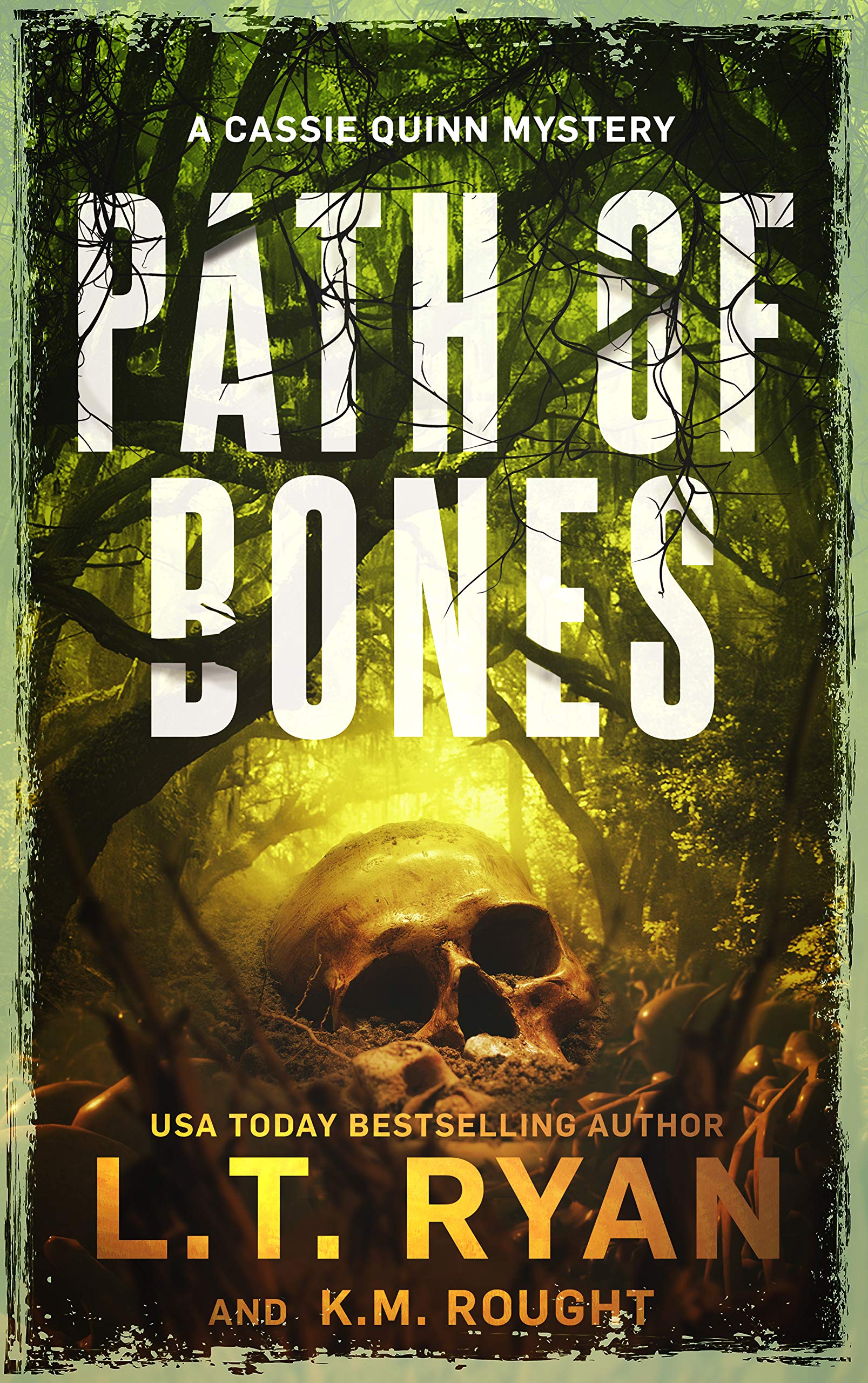 Cassie Quinn book cover 1