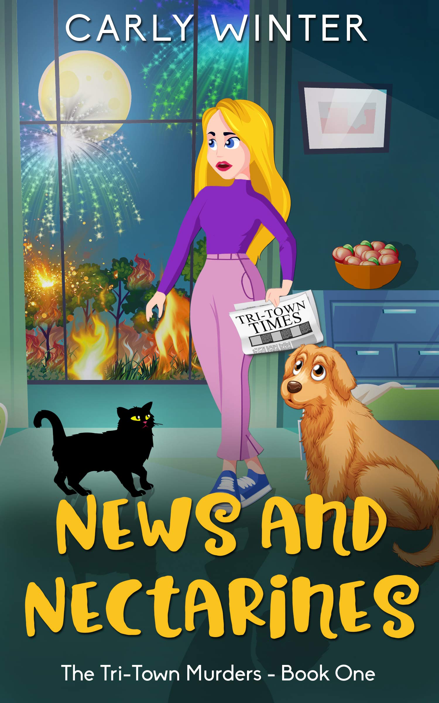 Tri-Town Murders book cover 1