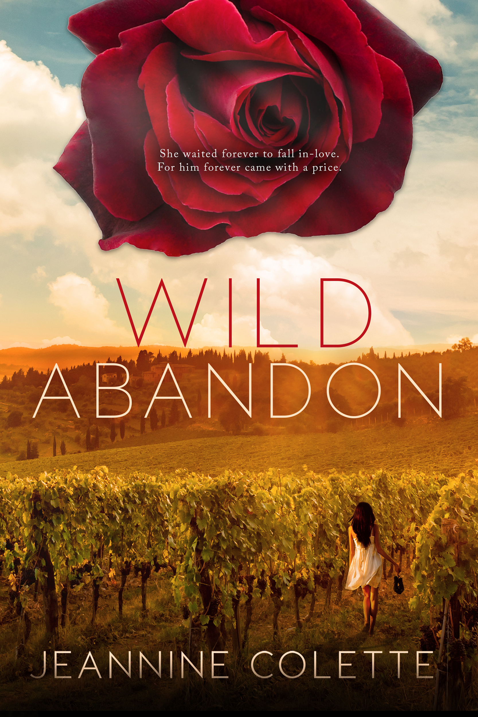 Abandon Collection book cover 3
