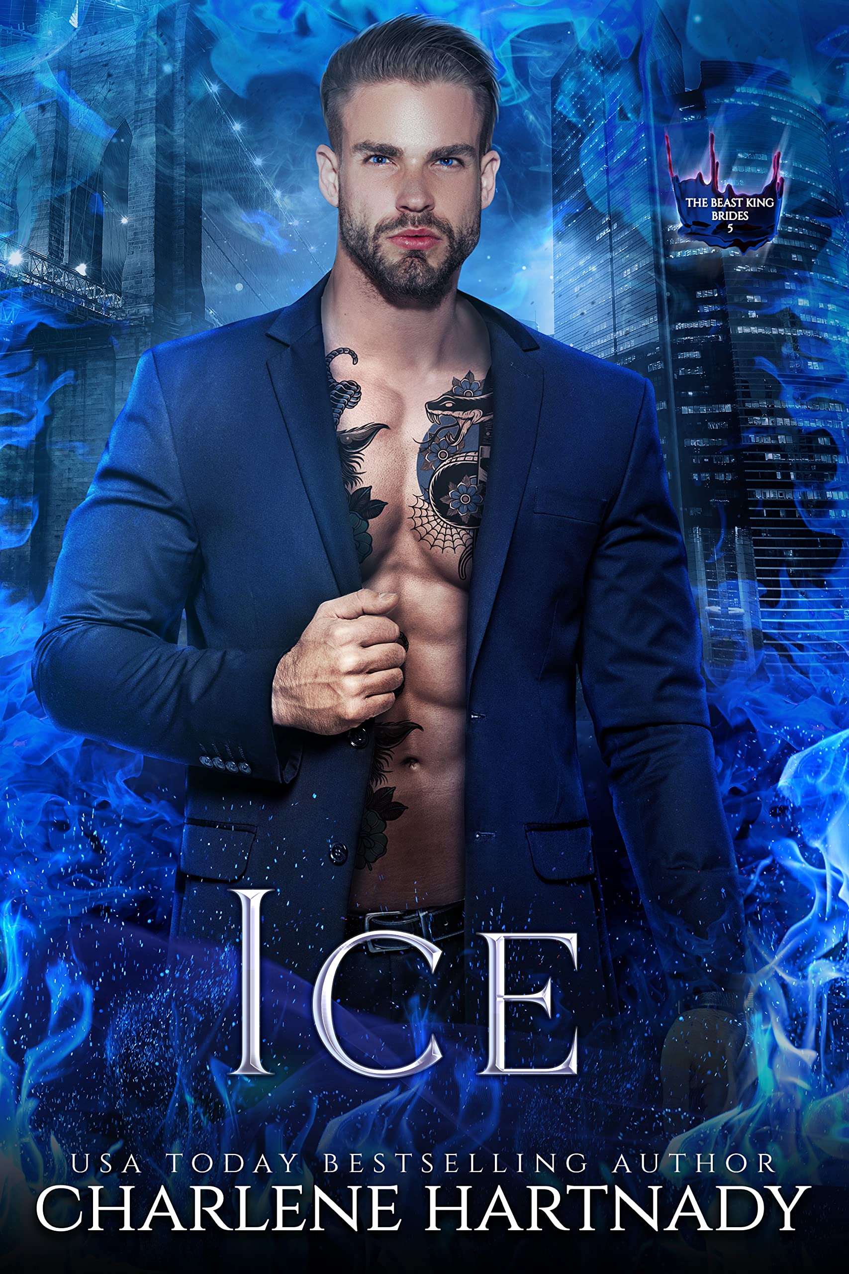 Ice book cover