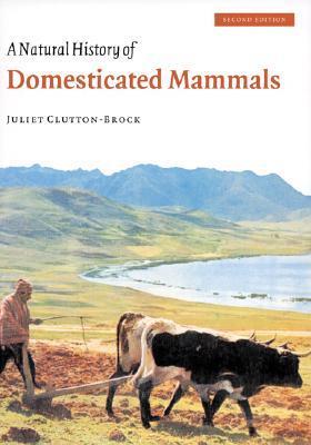 A Natural History of Domesticated Mammals book cover