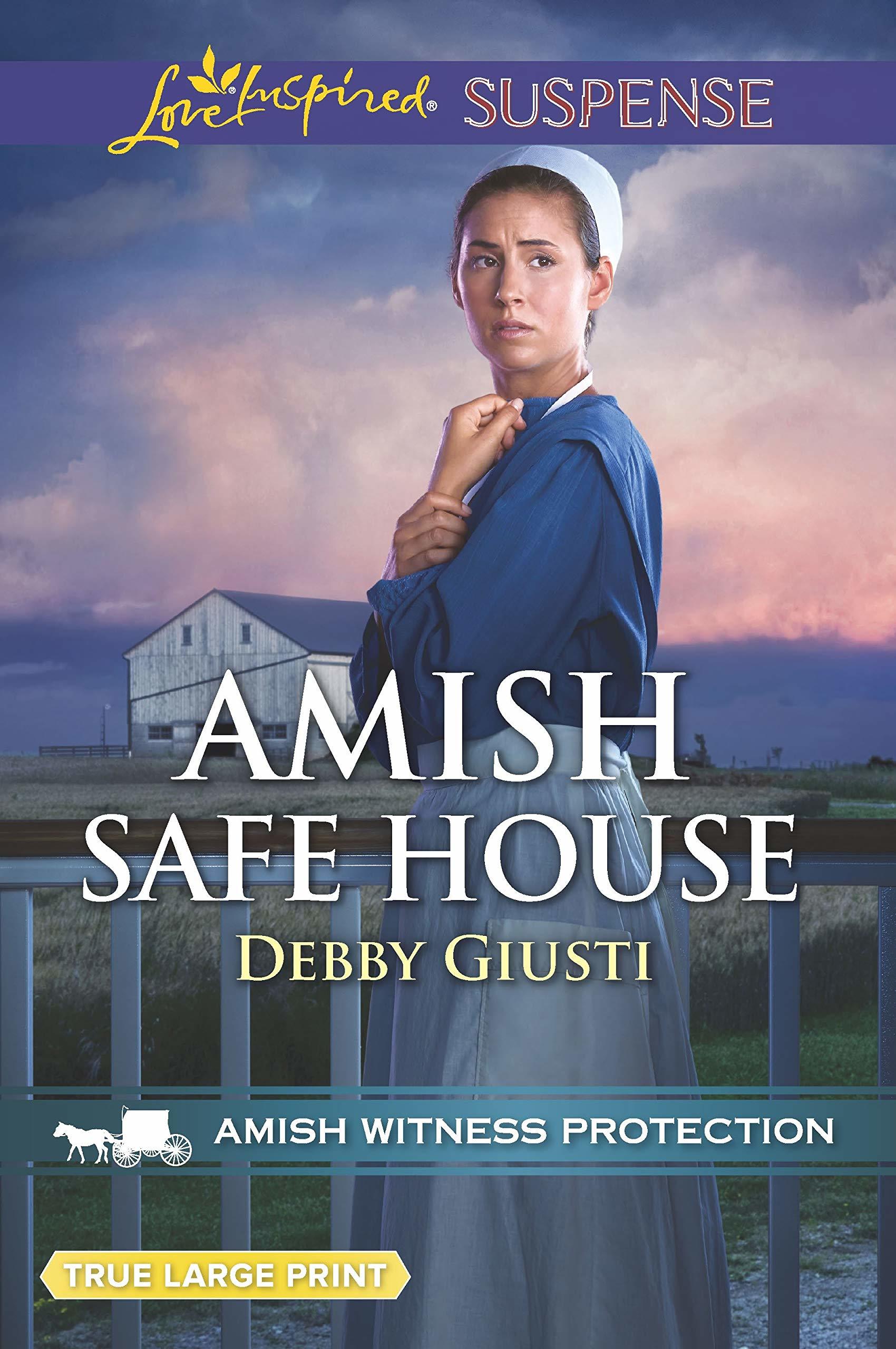 Amish Witness Protection book cover 2