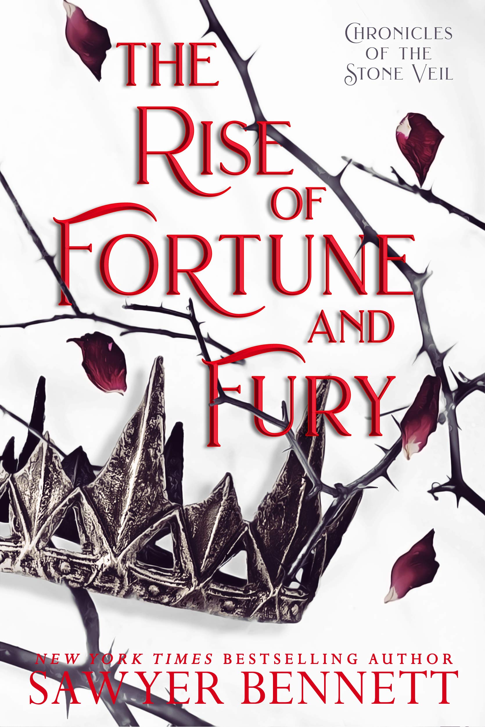 The Rise of Fortune and Fury book cover