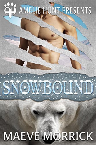Arctic Station Bears book cover 1