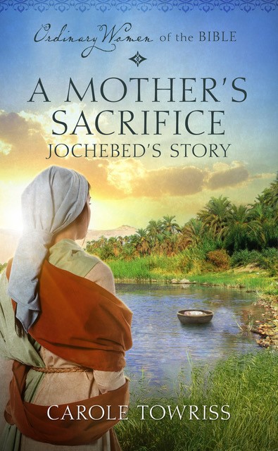 A Mother's Sacrifice book cover